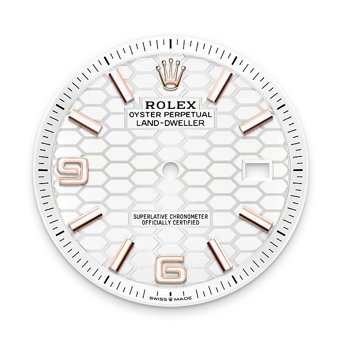 Rolex Land-Dweller 40 18 ct Everose gold, M127335-0001 | Lux Bond